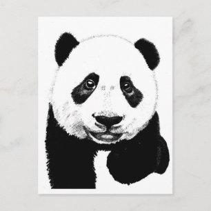 Panda teckning vykort