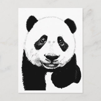 Panda teckning vykort