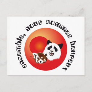 Panda Treffen Postkarte Vykort