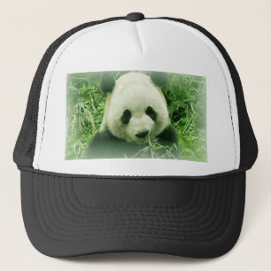 Panda Truckerkeps