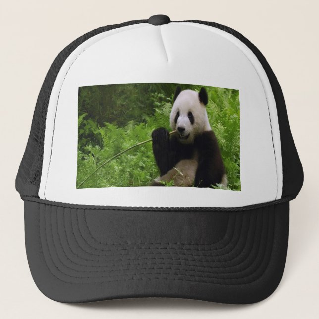 Panda Truckerkeps (Framsida)