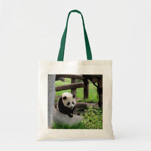 Panda Tygkasse