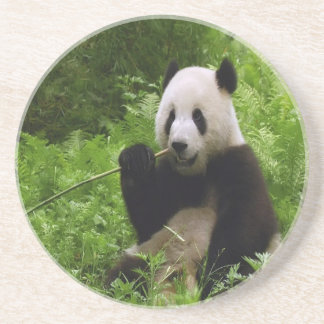 Panda Underlägg