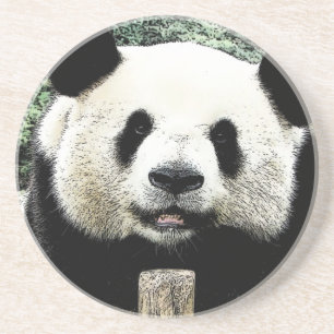 Panda Underlägg