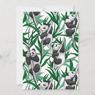Panda unge om
