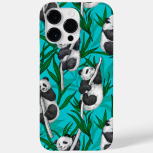 Panda unge om turkos
