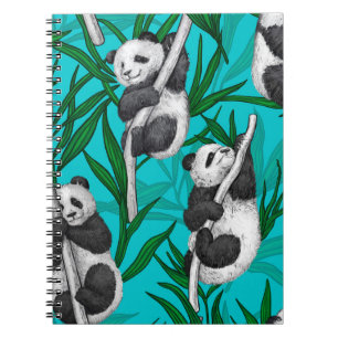 Panda unge om turkos anteckningsbok