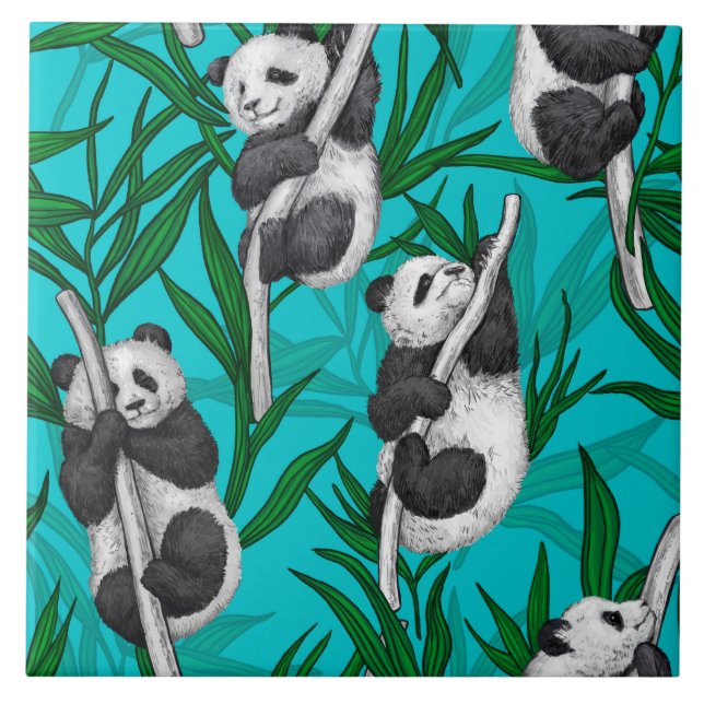 Panda unge om turkos kakelplatta (Framsidan)