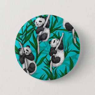 Panda unge om turkos knapp