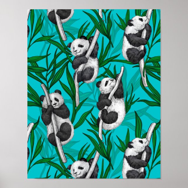 Panda unge om turkos poster (Framsidan)