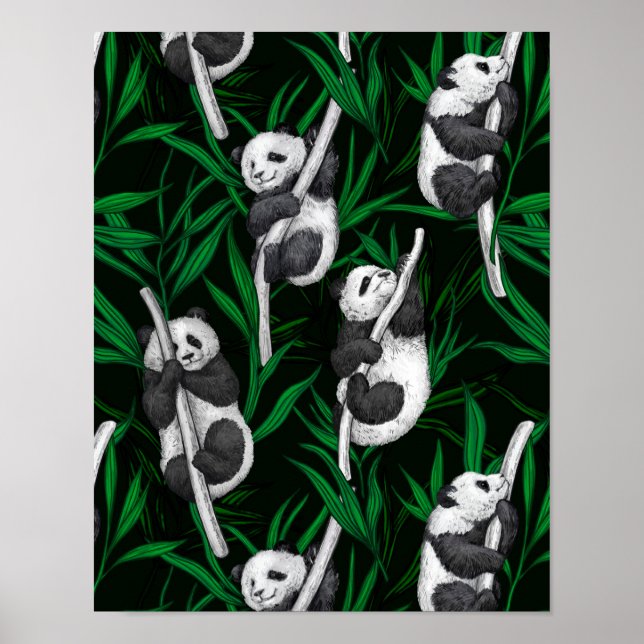 Panda unge på mörk grönt poster (Framsidan)
