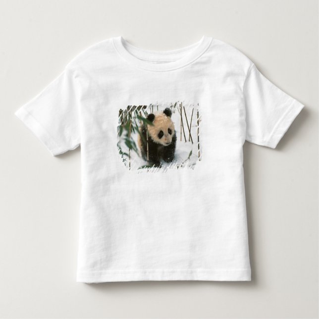 Panda unge på snö, Wolong, Sichuan, China T-shirt (Framsida)