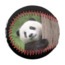 Panda unge Painting baseball