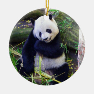 Panda vid San Diego Zoo Julgransprydnad Keramik