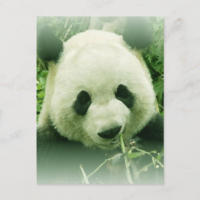 Panda Vykort (Framsida)