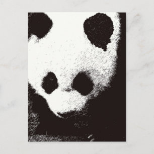 Panda Vykort