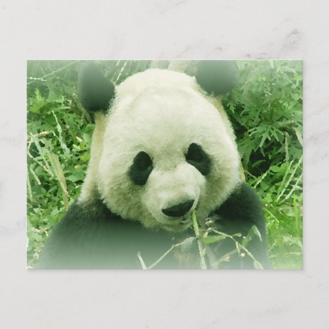 Panda Vykort (Framsida)