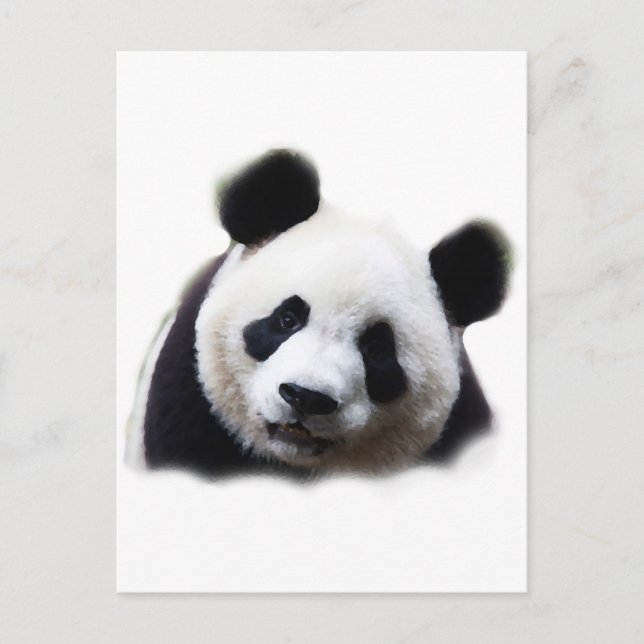 Panda Vykort (Framsida)