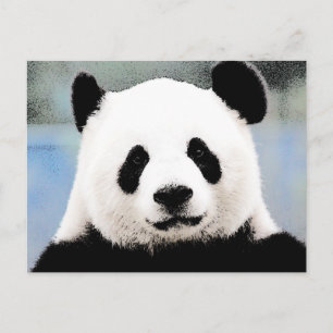 Panda Vykort