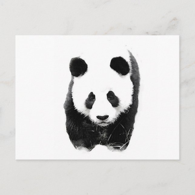 Panda Vykort (Framsida)