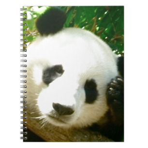 Pandaansikte Anteckningsbok Med Spiral