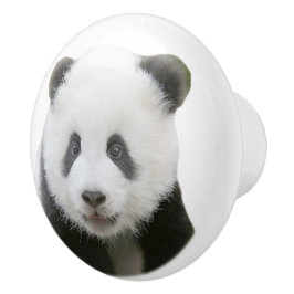 Pandaansikte Knopp