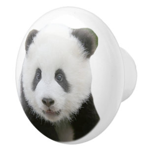 Pandaansikte Knopp