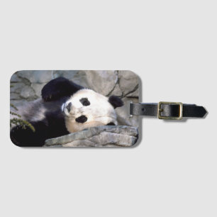 Pandabjörn Bagagebricka