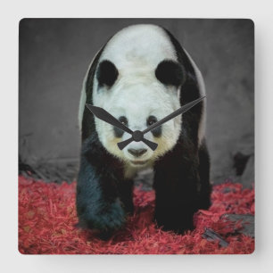 Pandabjörn Fyrkantig Klocka