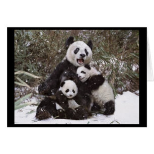 Pandabjörn Hälsningskort