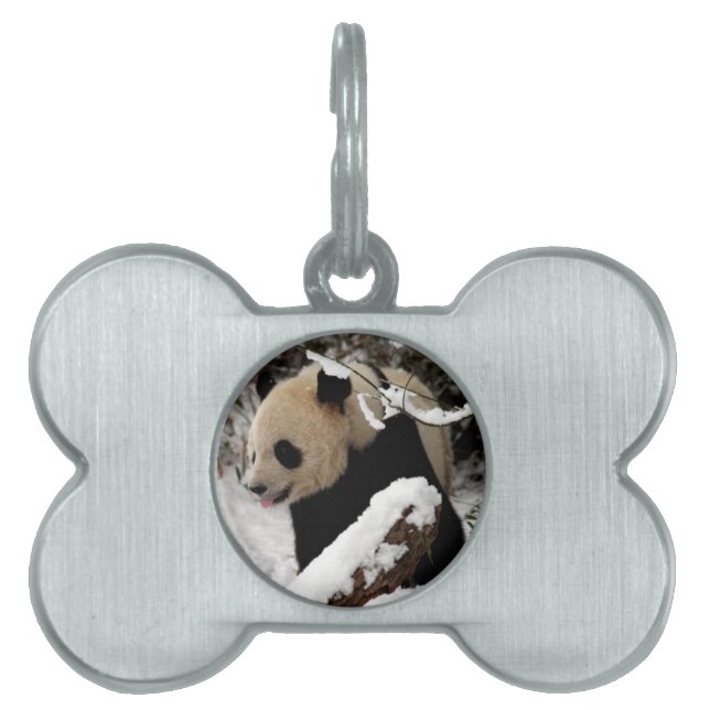 Pandabjörn ID-bricka Husdjur (Framsidan)