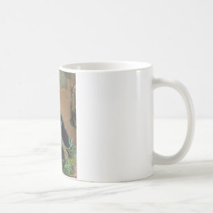 Pandabjörn Kaffemugg