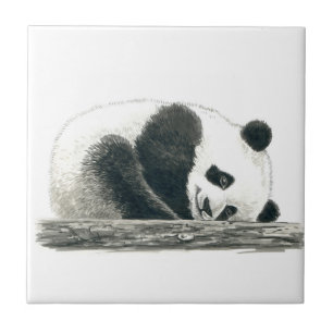 Pandabjörn Kakelplatta