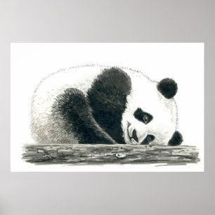 Pandabjörn Poster