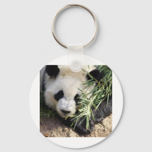 Pandabjörn@ Zoo Atlanta Nyckelring