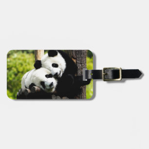 Pandabjörnar Bagagebricka