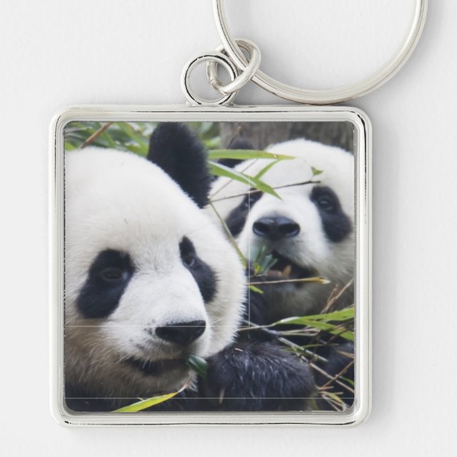 Pandabjörnar Fyrkantig Silverfärgad Nyckelring (Framsidan)