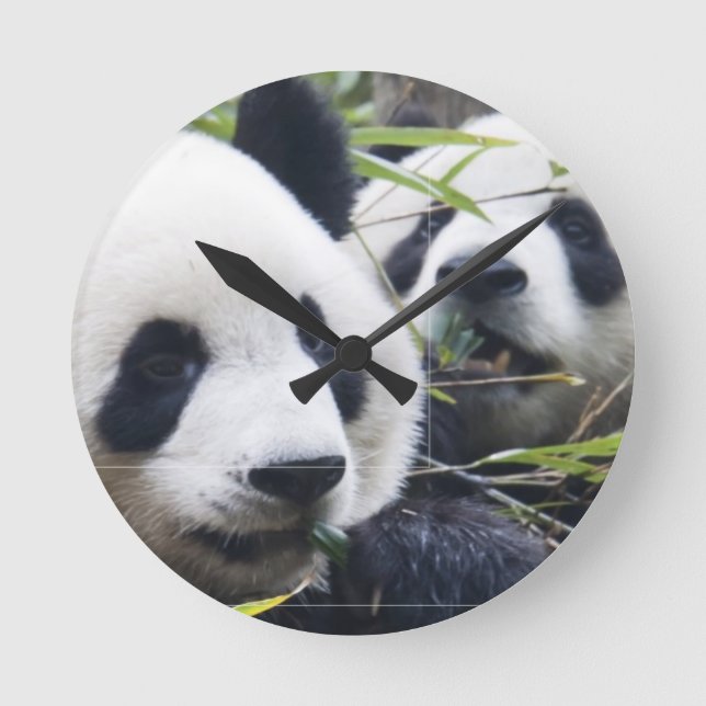 Pandabjörnar Rund Klocka (Framsida)
