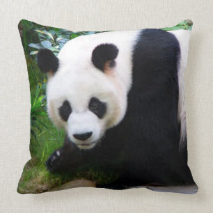 Pandabjörndekorativ kudde