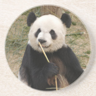 Pandabjörnkustfartyg Underlägg Sandsten