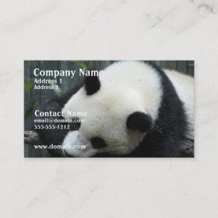 Pandabjörnvisitkort Visitkort