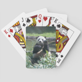 Pandadek för betalkort casinokort