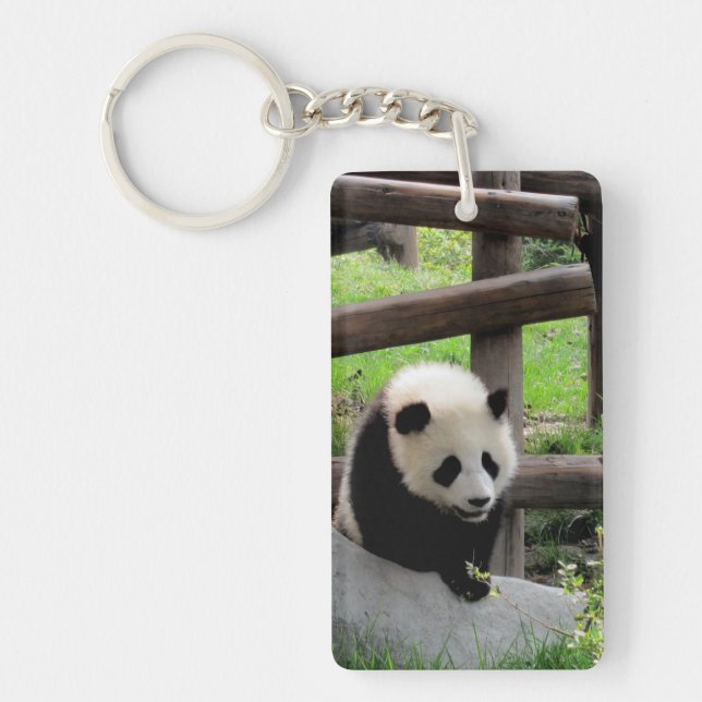 Pandafoto - anpassningsbar (Framsidan)