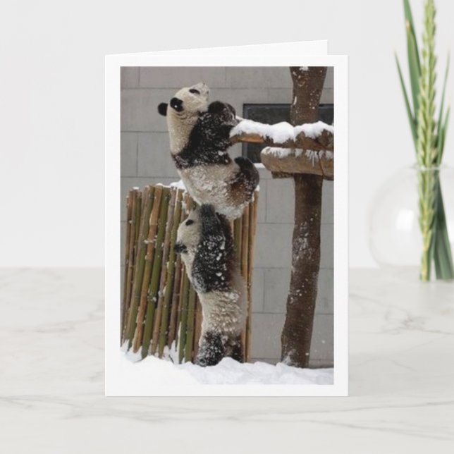 pandahiss kort (Framsida)