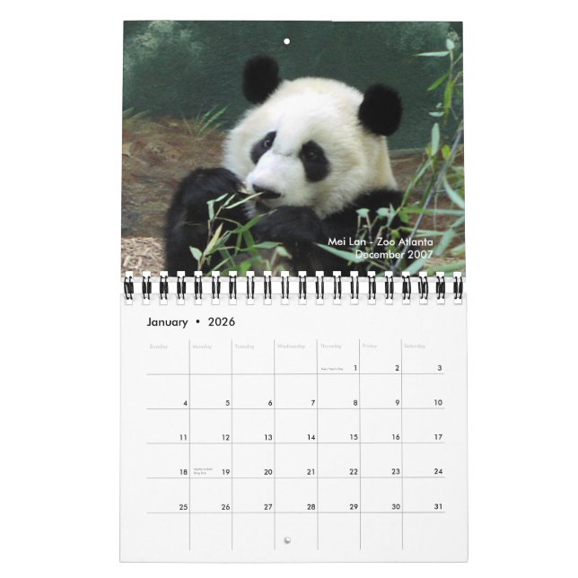 Pandakalender 2010 kalender (Jan 2026)