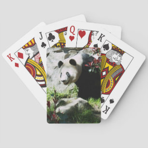 Pandaleende som leker kort spelkort