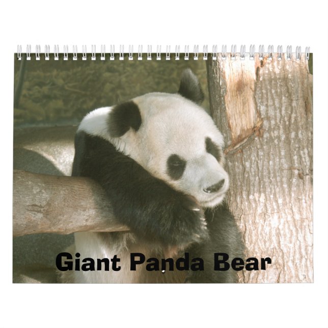 PandaM016 jätte- Pandabjörn Kalender (Omslag)