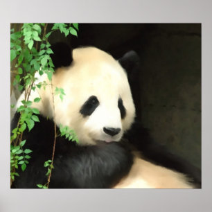 Pandamålningaffisch Poster