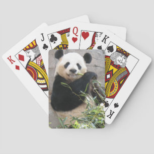 Pandamellanmål Spelkort