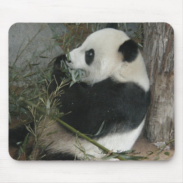 Pandamousepad Musmatta (Framsidan)